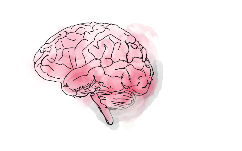Featured image of post AI workways for a happy brain